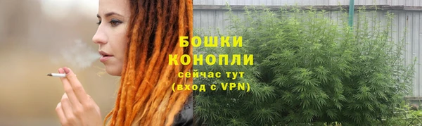дмт Белокуриха