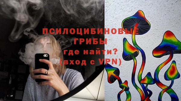 дмт Белокуриха