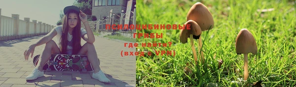 дмт Белокуриха