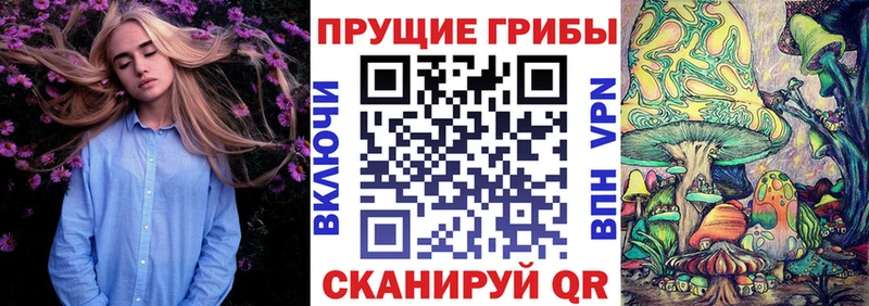 Галлюциногенные грибы Cubensis  купить  сайты  Верещагино 